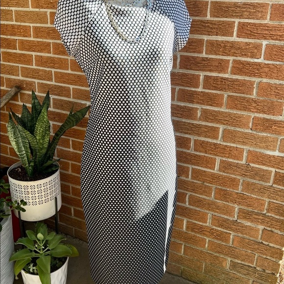 🛍️Beige‎ by ECI Black & white graduated dot cap sleeve dress size 6 - Picture 1 of 7